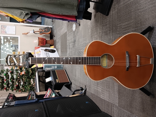 Store Special Product - Epiphone - ETZRNANH